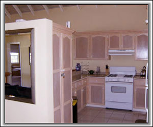 A Large Kitchen With All Mod-Cons - Nevis Holiday Rentals