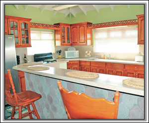 The Light and Airy Kitchen at Crimson House - Nevis Villas