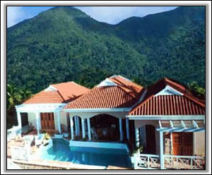 Estate Of Mind Nestled Under Nevis Peak - Rental Villas