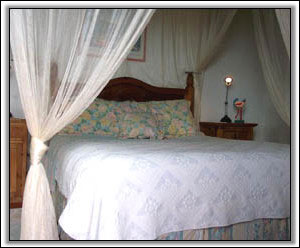 One Of Las Brisas Four Charming Bedrooms - Nevis Villa Rentals