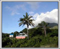 Mango Moon Villa  - Nevis Island Villa Rentals.