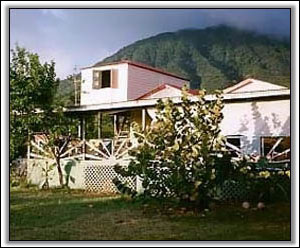 Mayorine Cottage Below Nevis Peak - Caribbean Properties