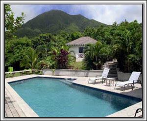 Sugar Hill Pool Under Nevis Peak - Vacation Rentals