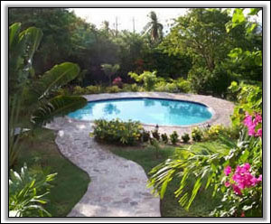 The New Pool With Caribbean Plants - Vacation Homes
