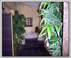 A Bathroom At TooMuchNice Villa - West Indies Homes