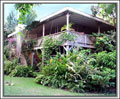 Treetops Villa - Nevis Island Villa Rentals.