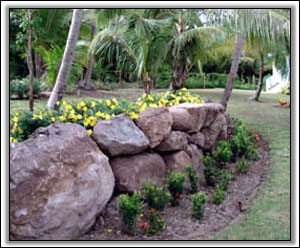 Palm Trees Adorn This Nevis Villa - Rental Homes