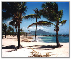 Nisbet Plantation’s Beach - Nevis - Villa Rentals Of Nevis