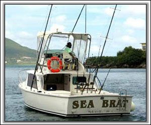 Nevis Deep Sea Fishing Charter Boat - Nevis Villas