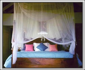 The Bedroom In Caribbean Colors - Vacation Property