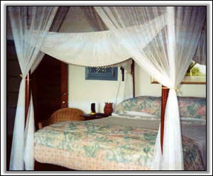 West Indian Style Bedroom - Vacation Houses