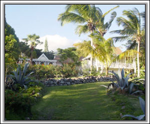 Figtree House - A Secluded Nevis Property - Vacation Rentals