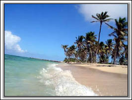 Newcastle Beach Nevis, West Indies -  Villa Rentals Of Nevis