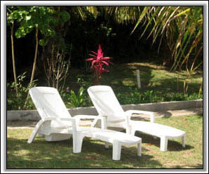 Relax Under The Nevis Island Sun - Villa Rentals